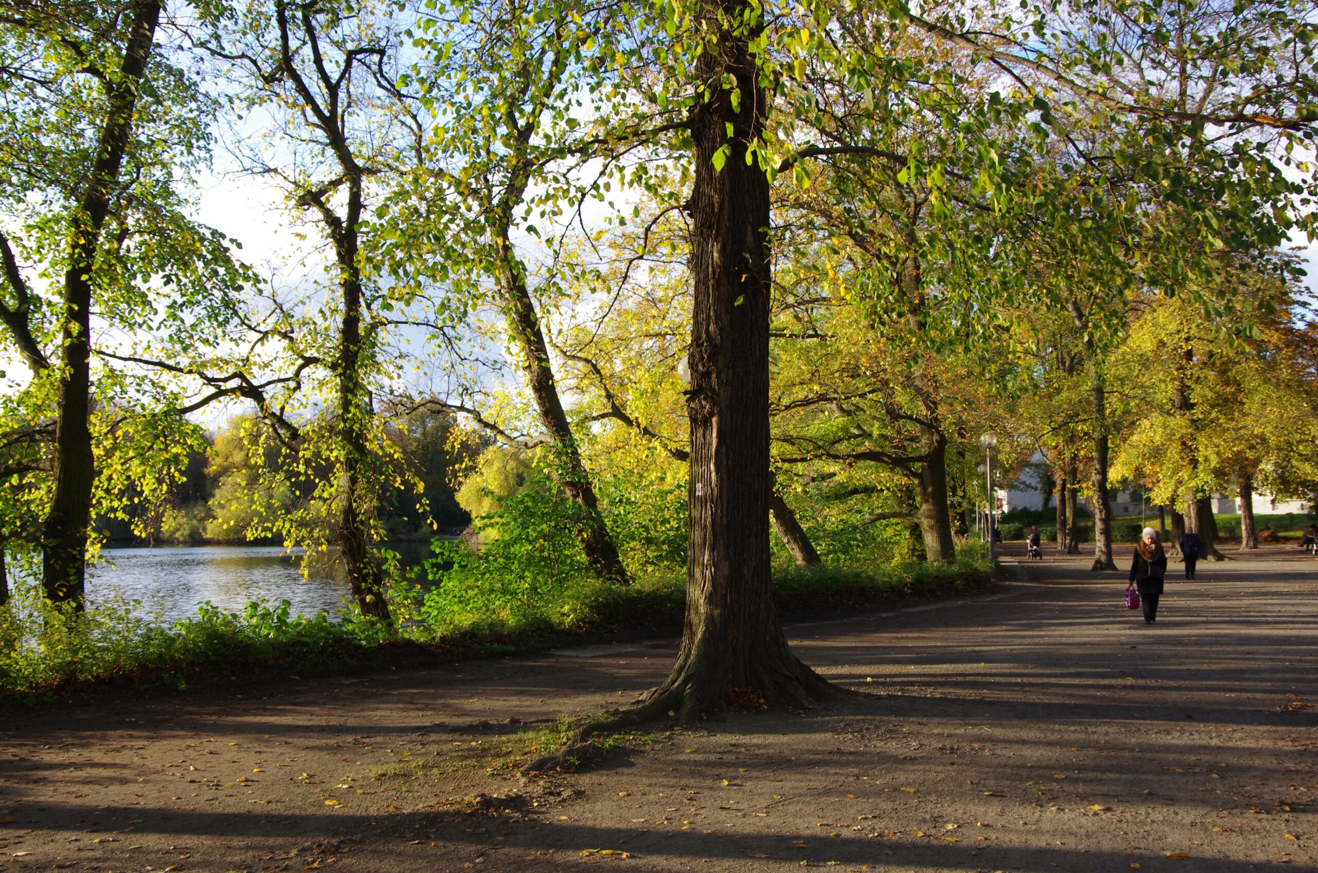 Museum Reinickendorf - Am Schäfersee Foto Christiane Borgelt