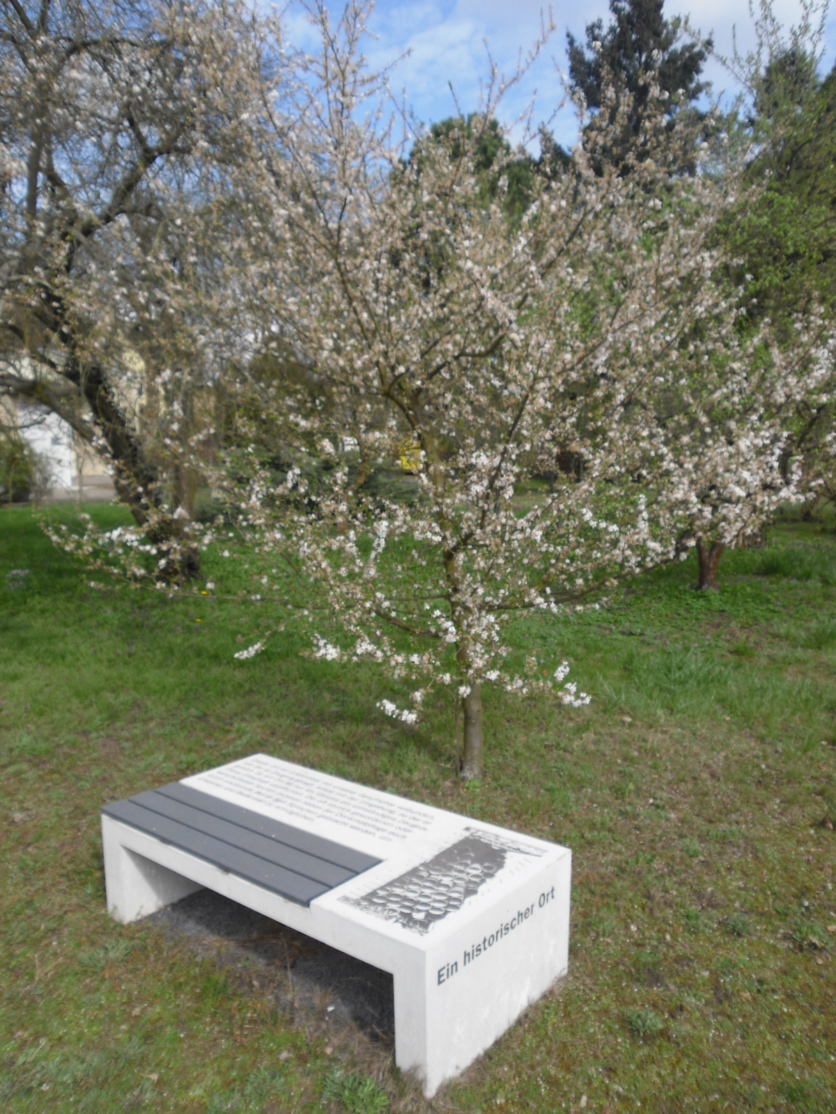 Museum Reinickendorf - Historischer Ort Krumpuhler Weg, Gedenkbank © Museum Reinickendorf