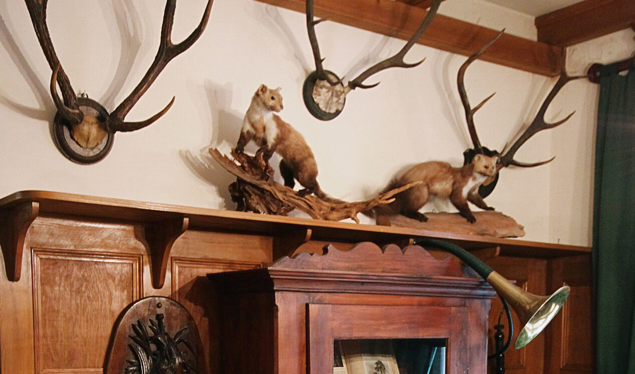 Museum Reinickendorf - Försterstube Foto Stefanie Zwiesler © Museum Reinickendorf